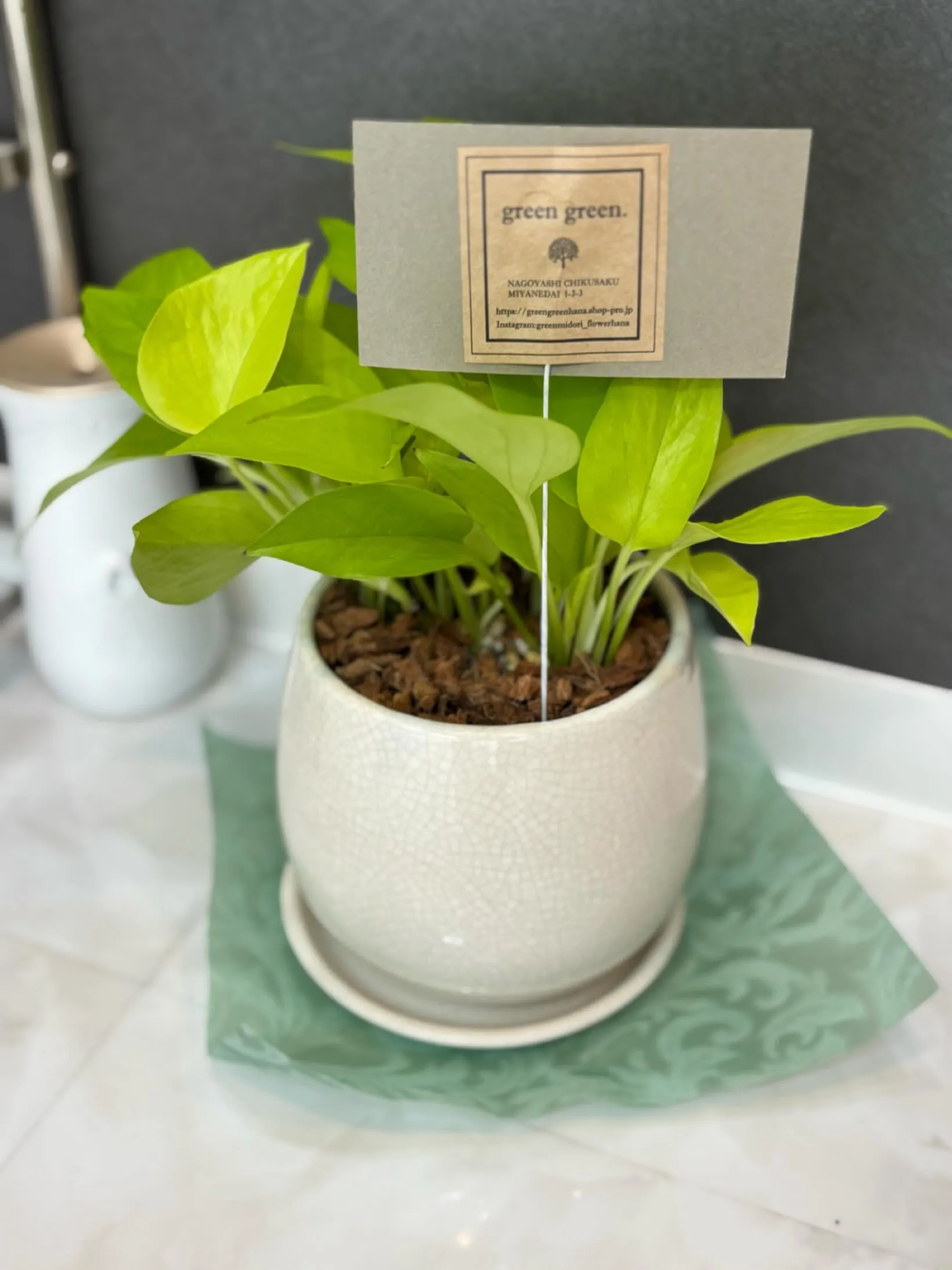 こんにちは♪♪サンスタイルクリア守山店です